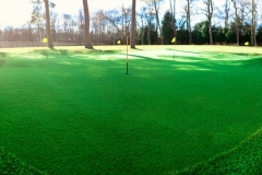 various_greens7-1